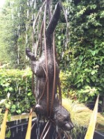 o. Bronze Otter (close up).jpg